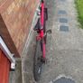 Girls bike Image 6