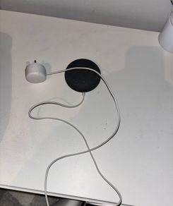 google home