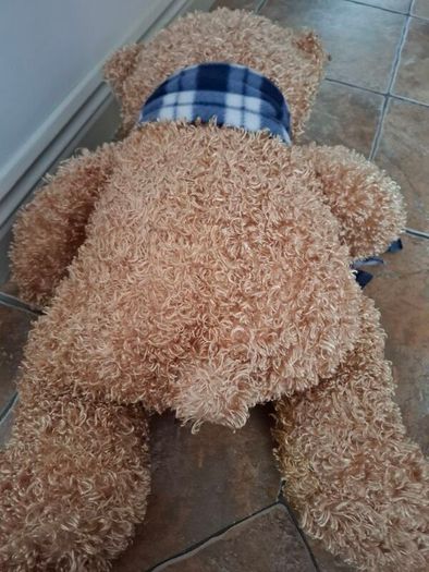 Beautifully Soft Teddy Bear