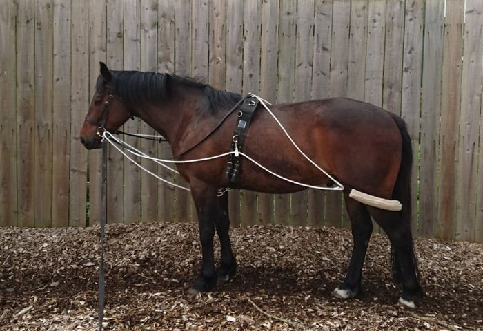 Berney Bros GP Saddle 17.5 inch