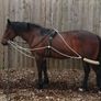 Berney Bros GP Saddle 17.5 inch Image 10