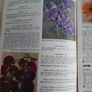Vintage Suttons seeds book and unopened seeds from 1976 Image 5