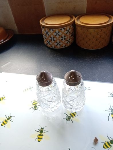 crystal salt and pepper