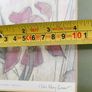 FRAMED DETAIL IRIS RAINBOW FANTASY penceled and coloered signed by artist . Image 6