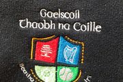 Gaelscoil Thaobh na Coille jumper