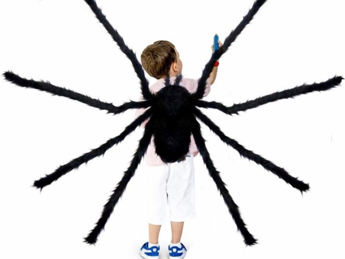 Giant Spider 6.6ft - 200cm, Spider Web 23ft - 700cm, 30pcs Plastic Spiders, 40g Cobweb - Halloween Decorations Triangular Cobweb for Indoor Outdoor Home Yard