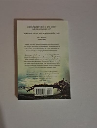 Ithaca by Alan McMonagle