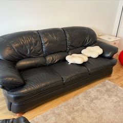 sofas and chairs