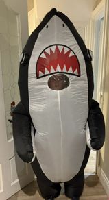 halloween costume