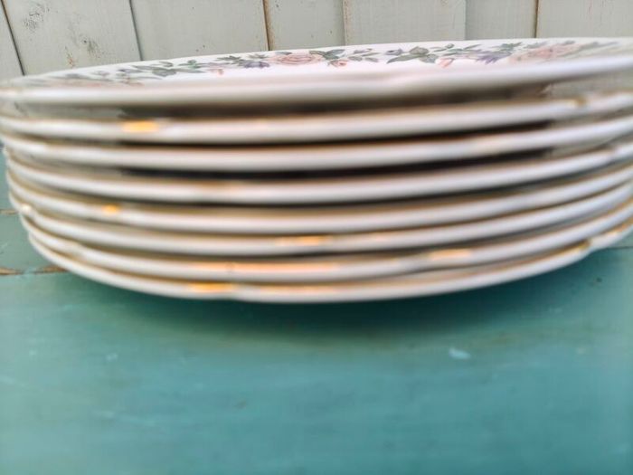 8 x Vintage Royal Grafton plates