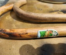 old walking / hiking canes