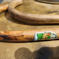 old walking / hiking canes