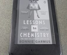 Kindle (10th Edition)