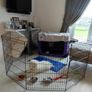 NEW SALE | 8 Panel Playpen Suitable for Dogs/Puppies/Cats & Rabbits foldable ideal for Indoor/Outdoor use puppy play pen (61cm, Black) Image 2