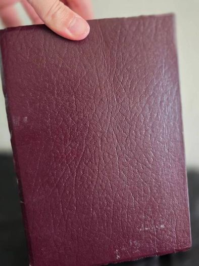 Holy Bible - Red Letter Edition