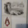 Scrapbook   No  History Image 9