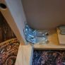 Ikea Dining Table Tranetorp Image 3
