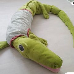 Crocodile Teddy