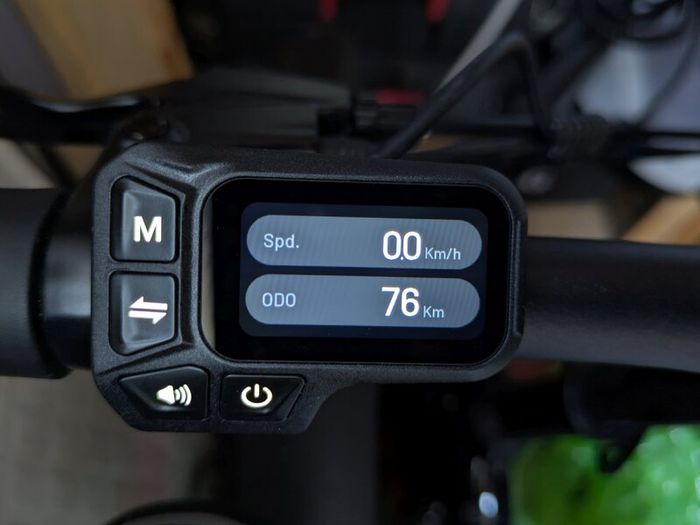 Fiido D3 Pro Electric Bike