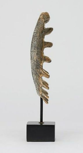 Turtle Shell - Polished Bronze, Signed