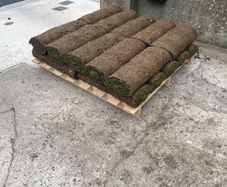 rolled lawn