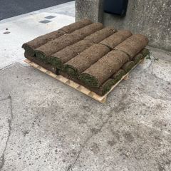 rolled lawn