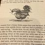 Vintage Roald Dahl's Danny The Champion of the World Image 7