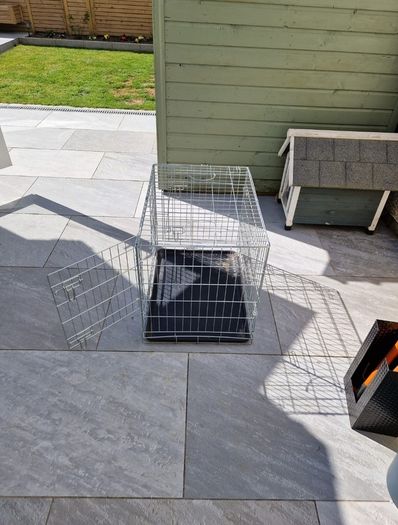 Medium size dog crate for sale