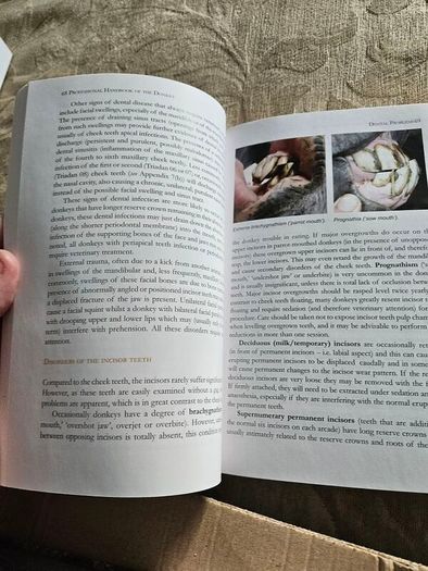 The Professional Handbook Of The Donkey. 4th Edition.  By Dr Elizabeth D. Svendsen. Edited By Professor James Duncan. In Good Condition.  See Photos For Same.