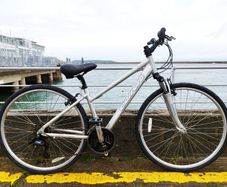 Carrera Mountain Bike
