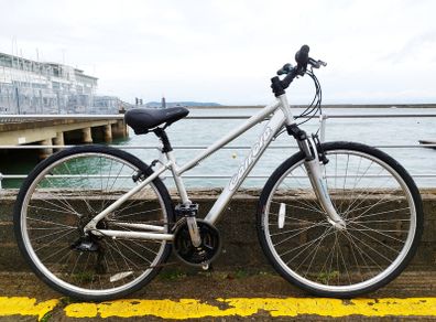 Carrera Mountain Bike