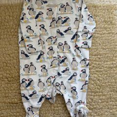 Frugi Organic Cotton Puffin Babygrow