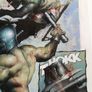 2000ad Slaine original comic art page by Steve Tappin includes overlay Image 4