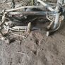bike Image 3