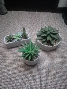 fake plants