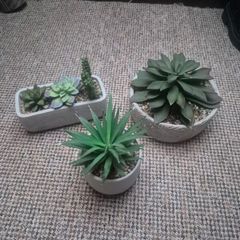 fake plants