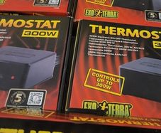 Exo Terra 300w and 100w thermostat