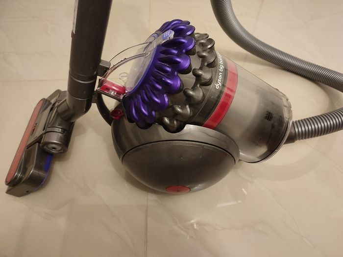 Dyson big ball animal 2
