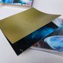Cd  Jay Image 7