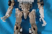 Transformer DOTM Megatron