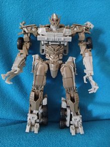 Transformer DOTM Megatron