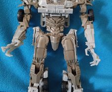 Transformer DOTM Megatron