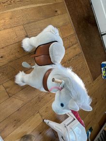 Pony cycle ride on