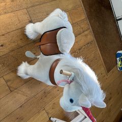 Pony cycle ride on