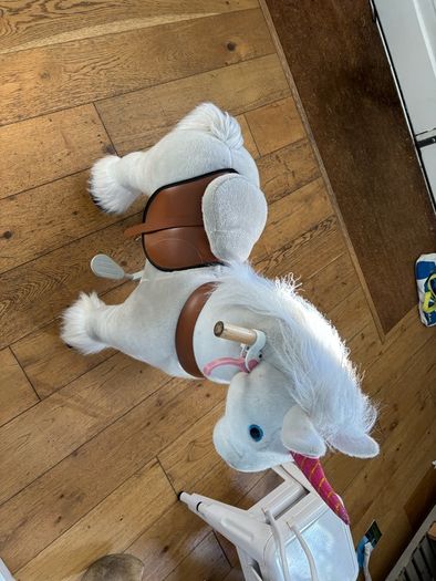 Pony cycle ride on