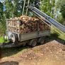 Firewood Image 5