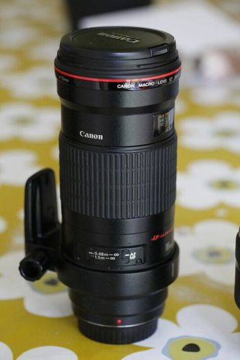 Canon lenses for sale price drop