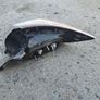 Mazda 3 bl rear light passenger side 09-13 Image 2