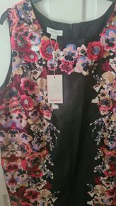 Monsoon Floral Design Dress Size 22 (nwt)