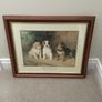 Puppy Picture Image 2